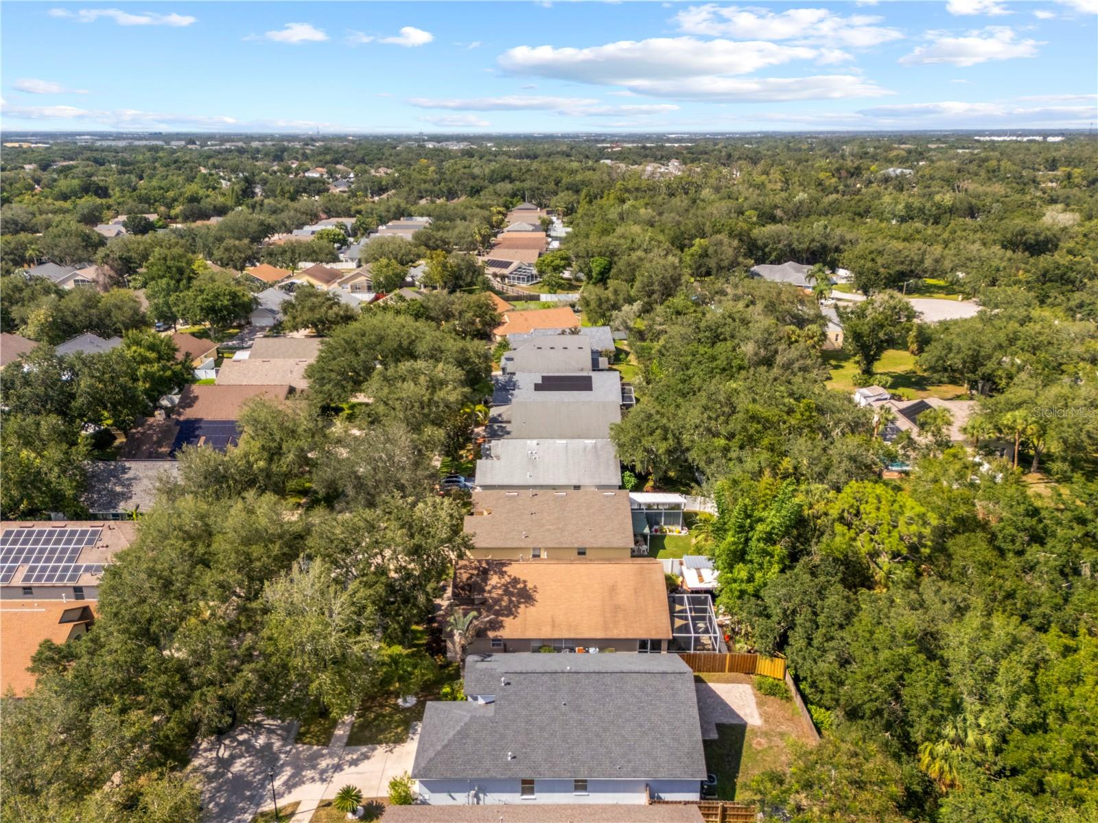 10148 SOMERSBY DR — photo 53