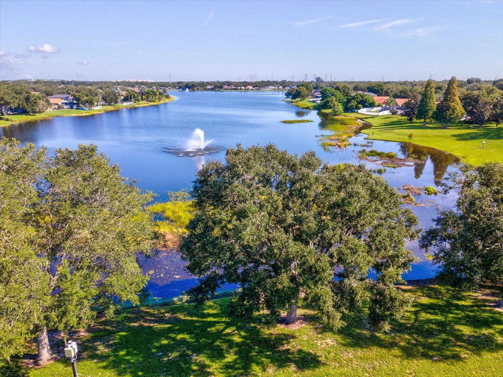 12614 LAKE VISTA DR — photo 68