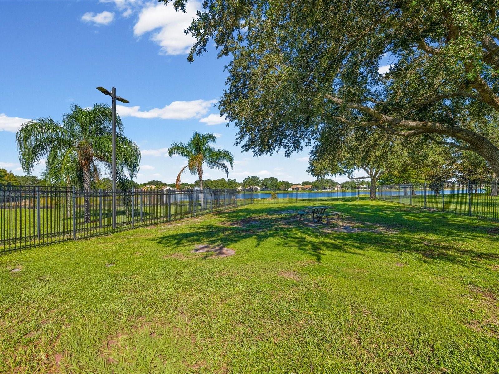 12614 LAKE VISTA DR — photo 59
