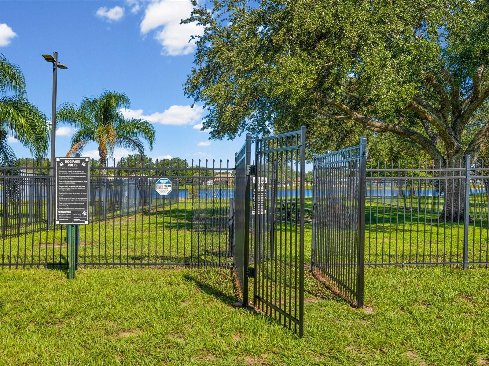 12614 LAKE VISTA DR — photo 58
