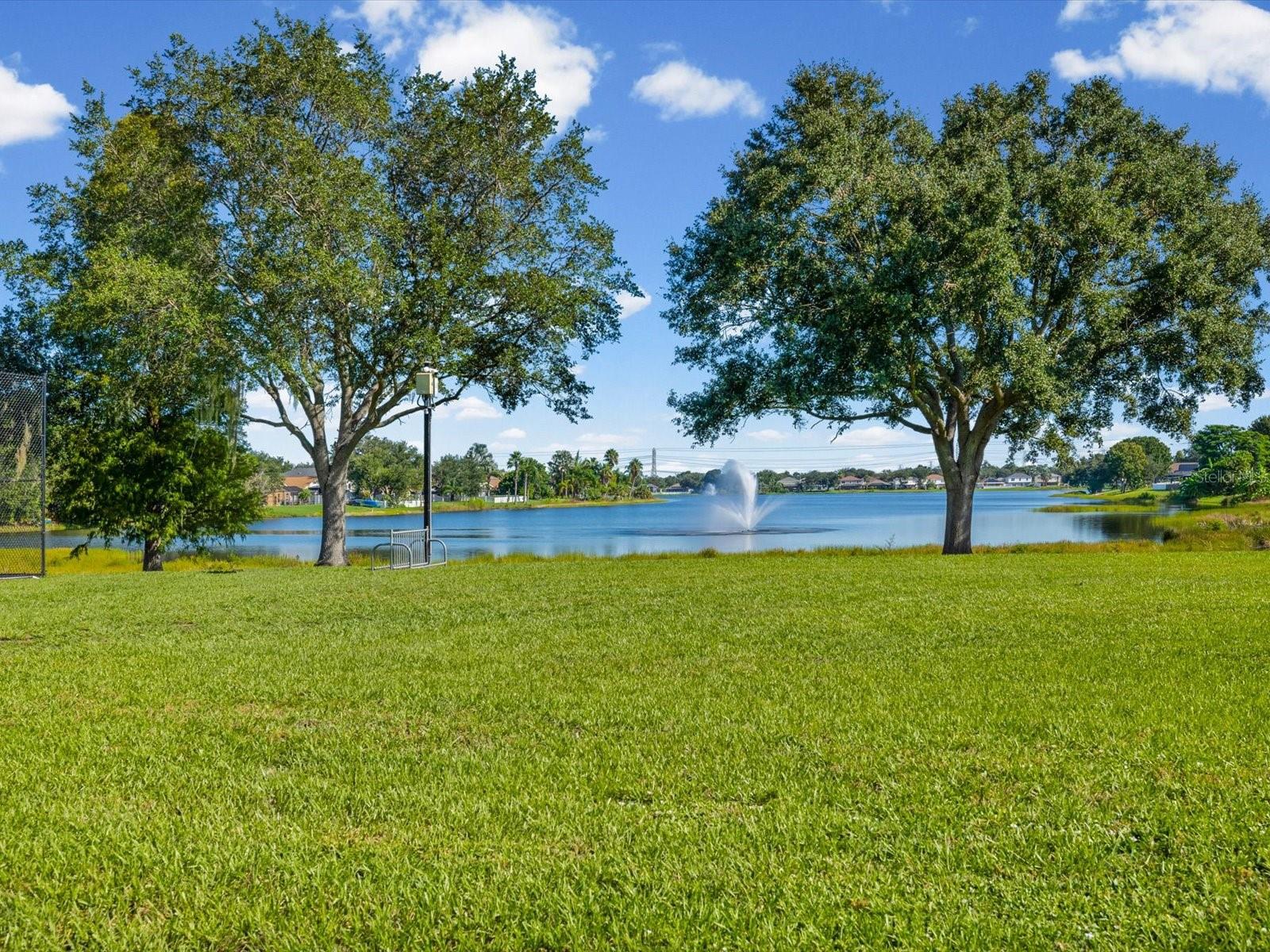 12614 LAKE VISTA DR — photo 53