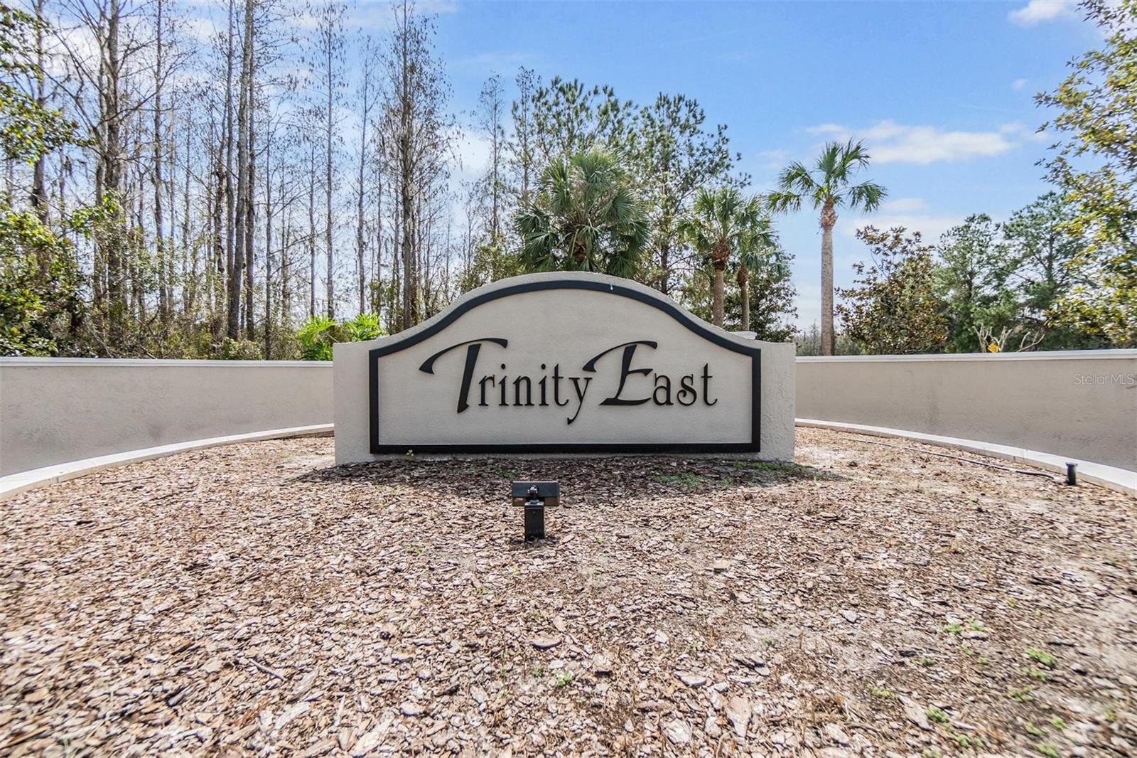 1231 KETZAL DR — photo 46