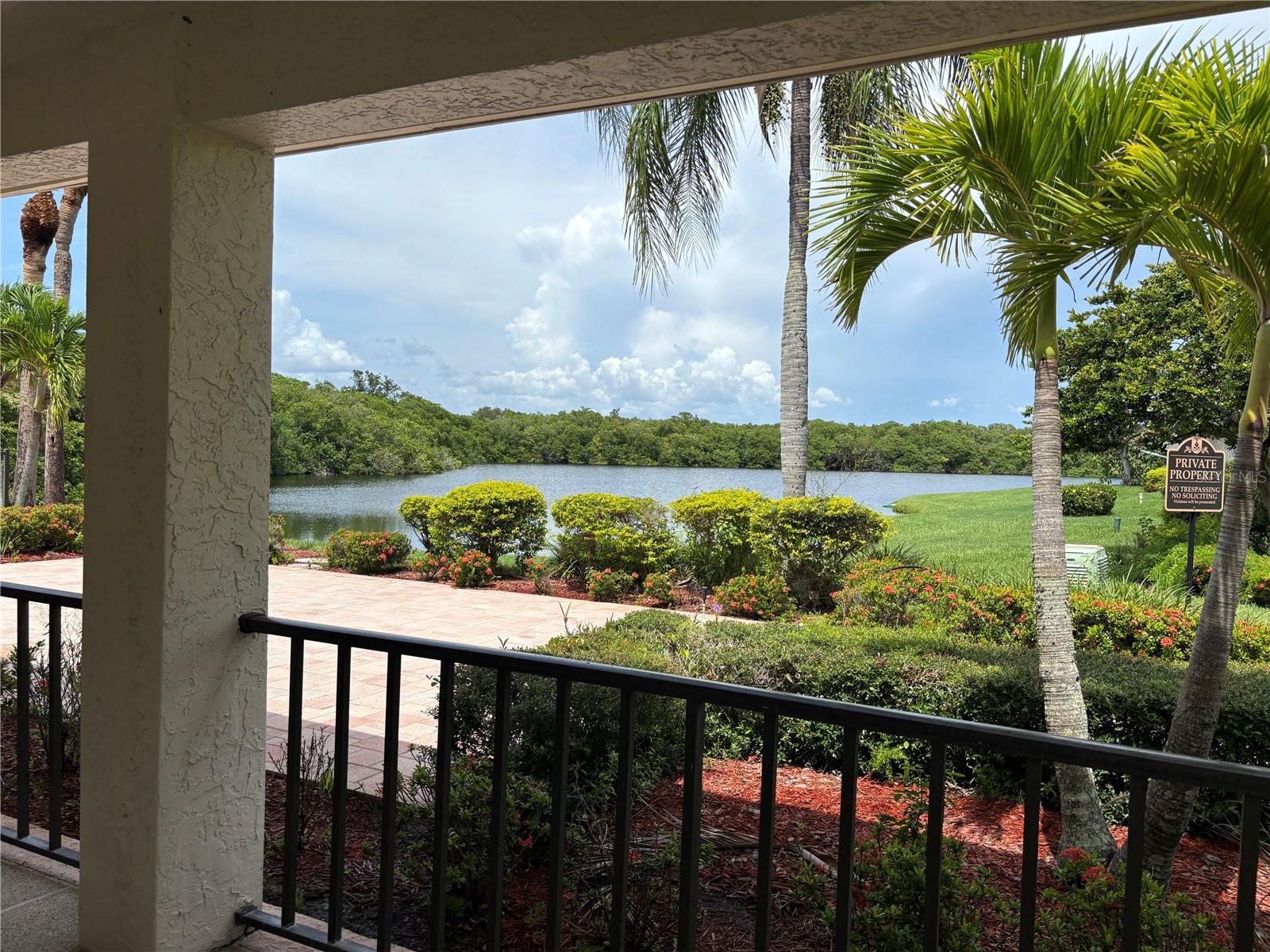 14837 FEATHER COVE LN #45 — photo 48