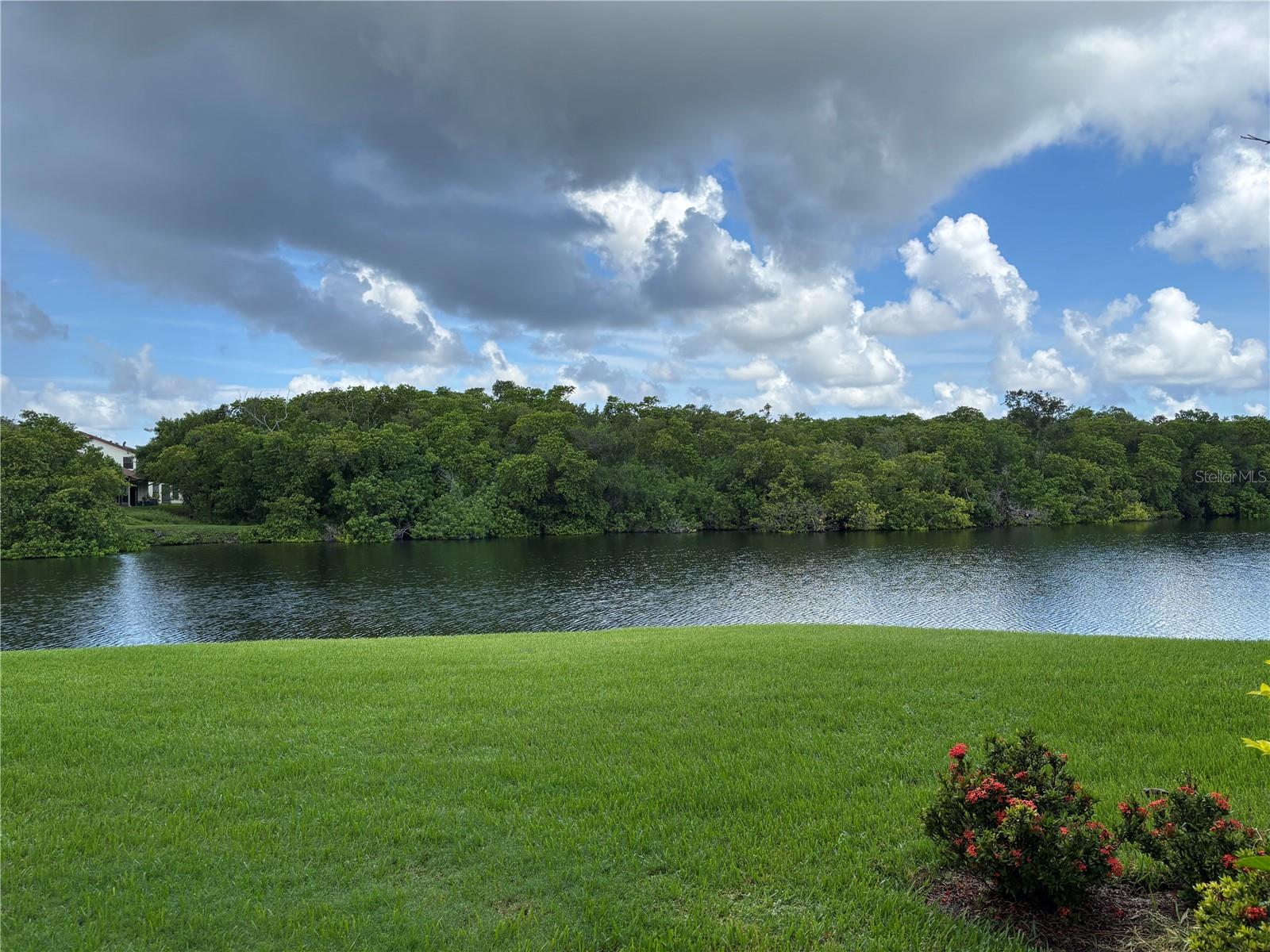 14837 FEATHER COVE LN #45 — photo 49