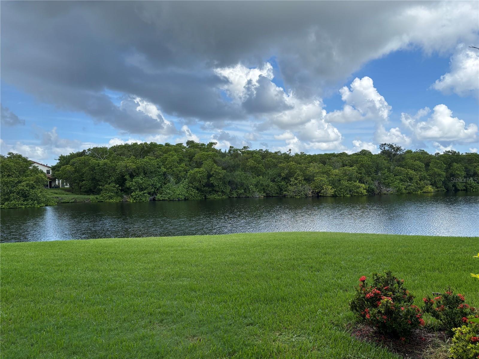 14837 FEATHER COVE LN #45 — photo 42