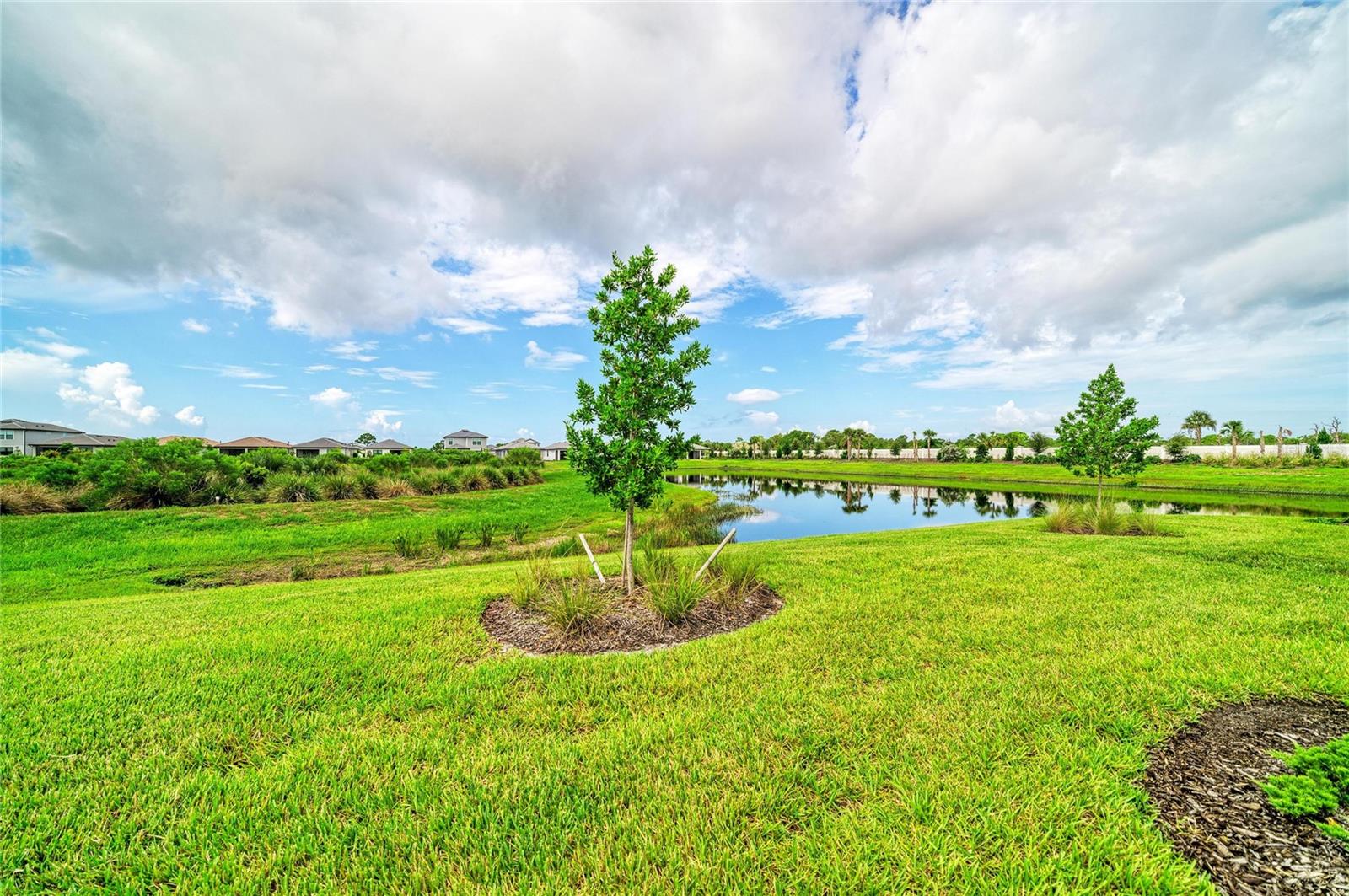 14213 EAGLE BRANCH DR — photo 19