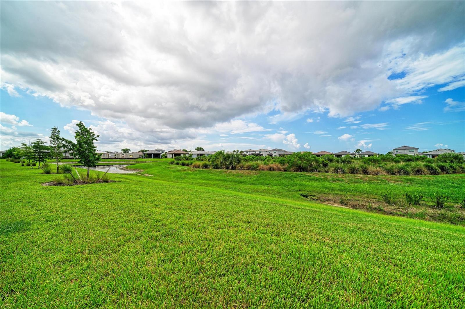 14213 EAGLE BRANCH DR — photo 20