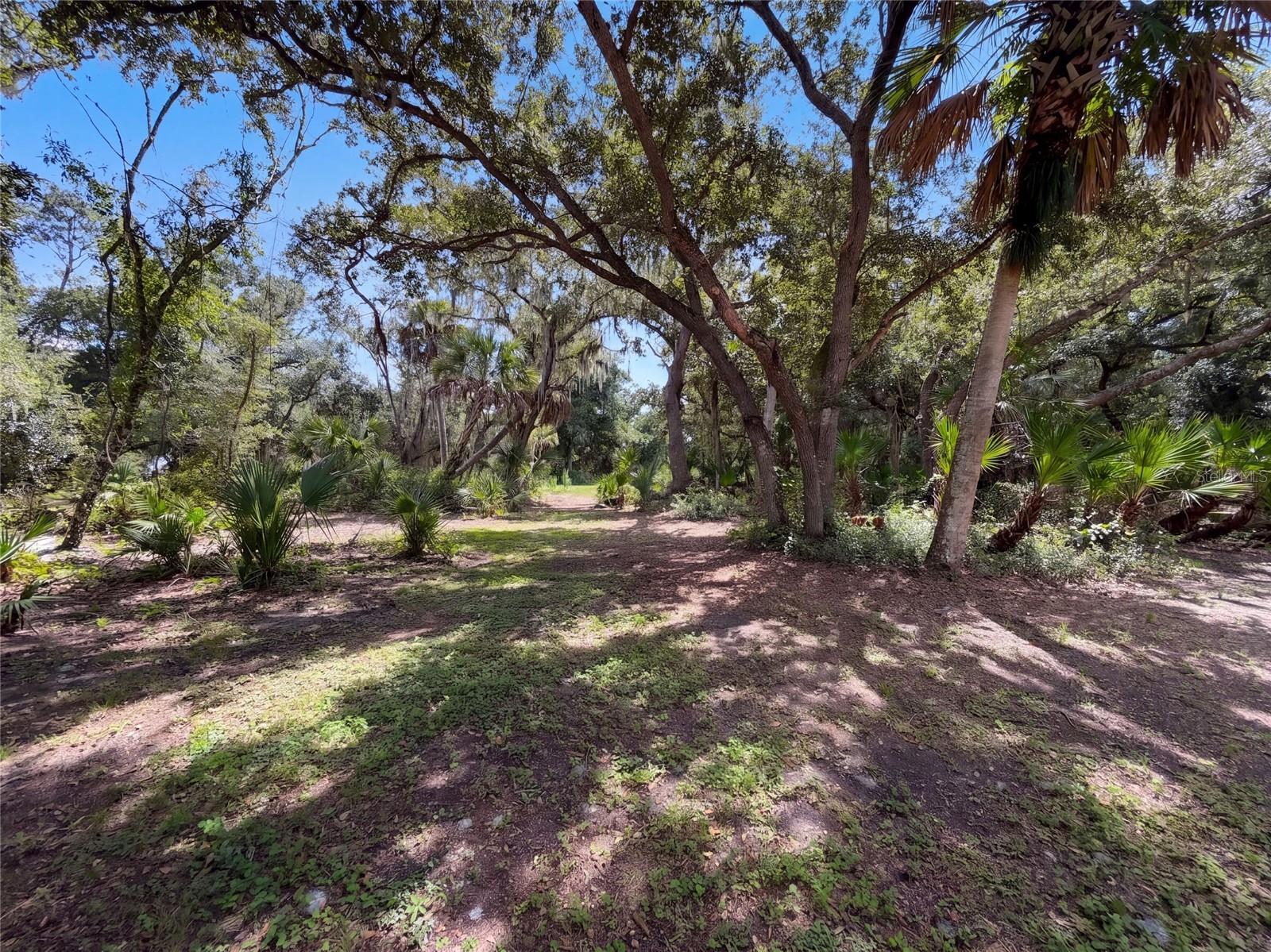 5438 COLD SPRING LN — photo 45