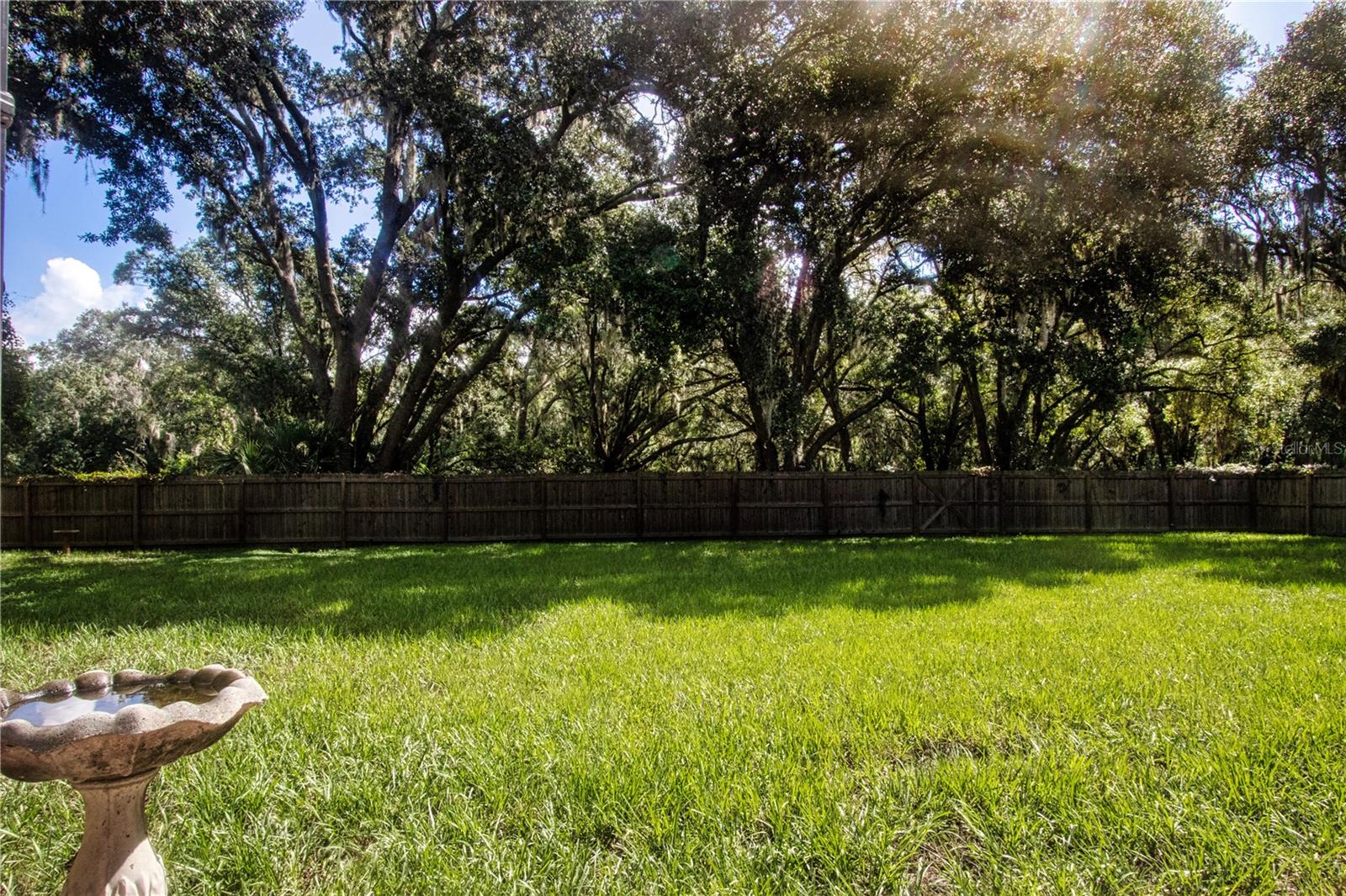 1605 BUTCH CASSIDY TRL — photo 43