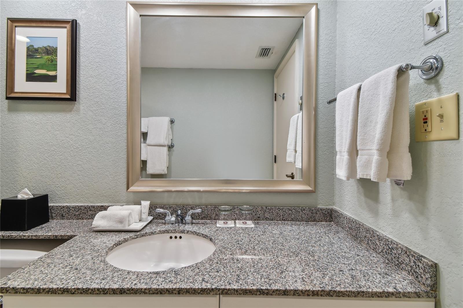 36750 US HIGHWAY 19 N #15305 — photo 34