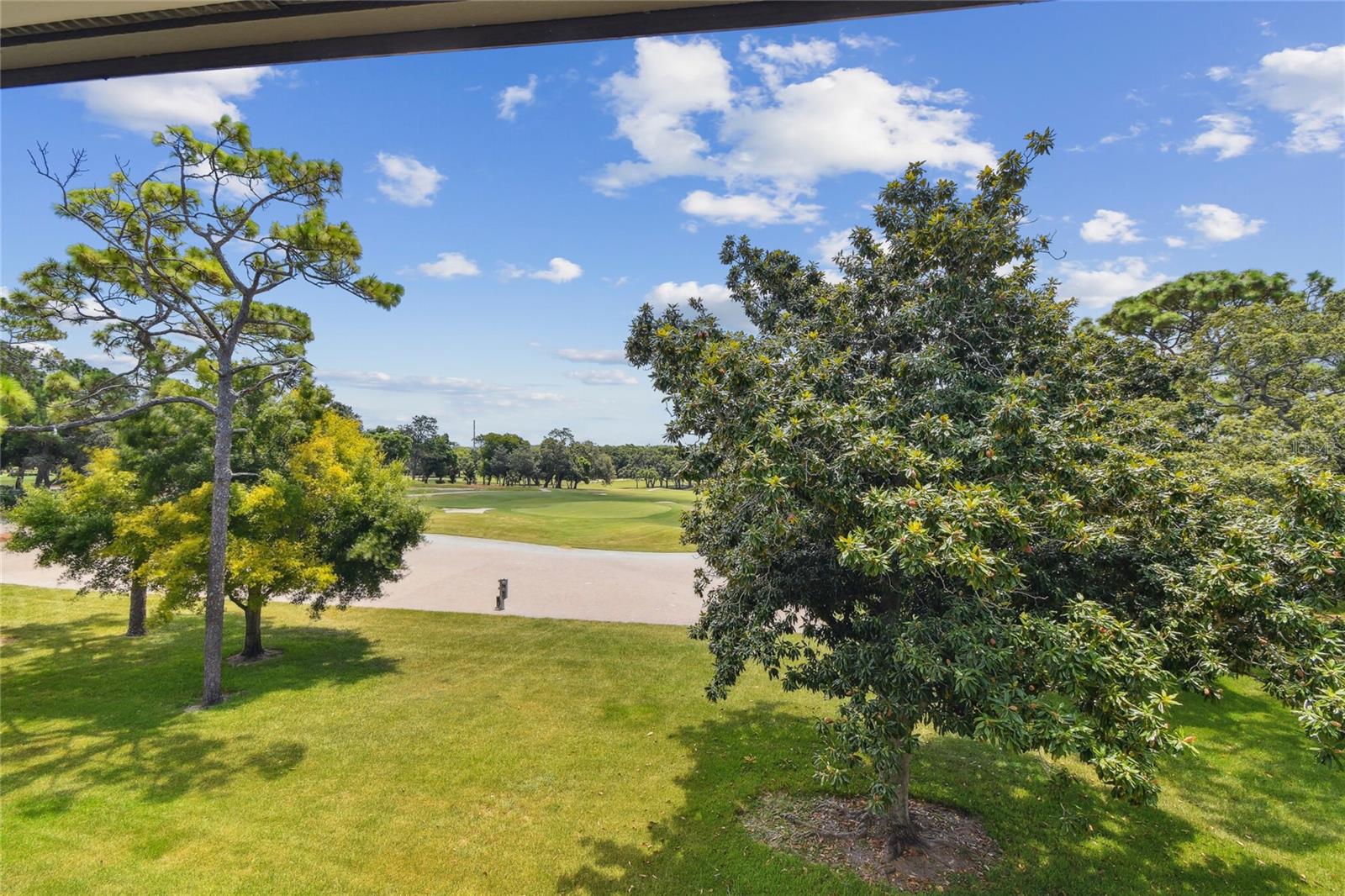 36750 US HIGHWAY 19 N #15305 — photo 47