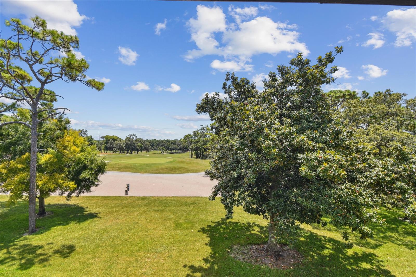 36750 US HIGHWAY 19 N #15305 — photo 46