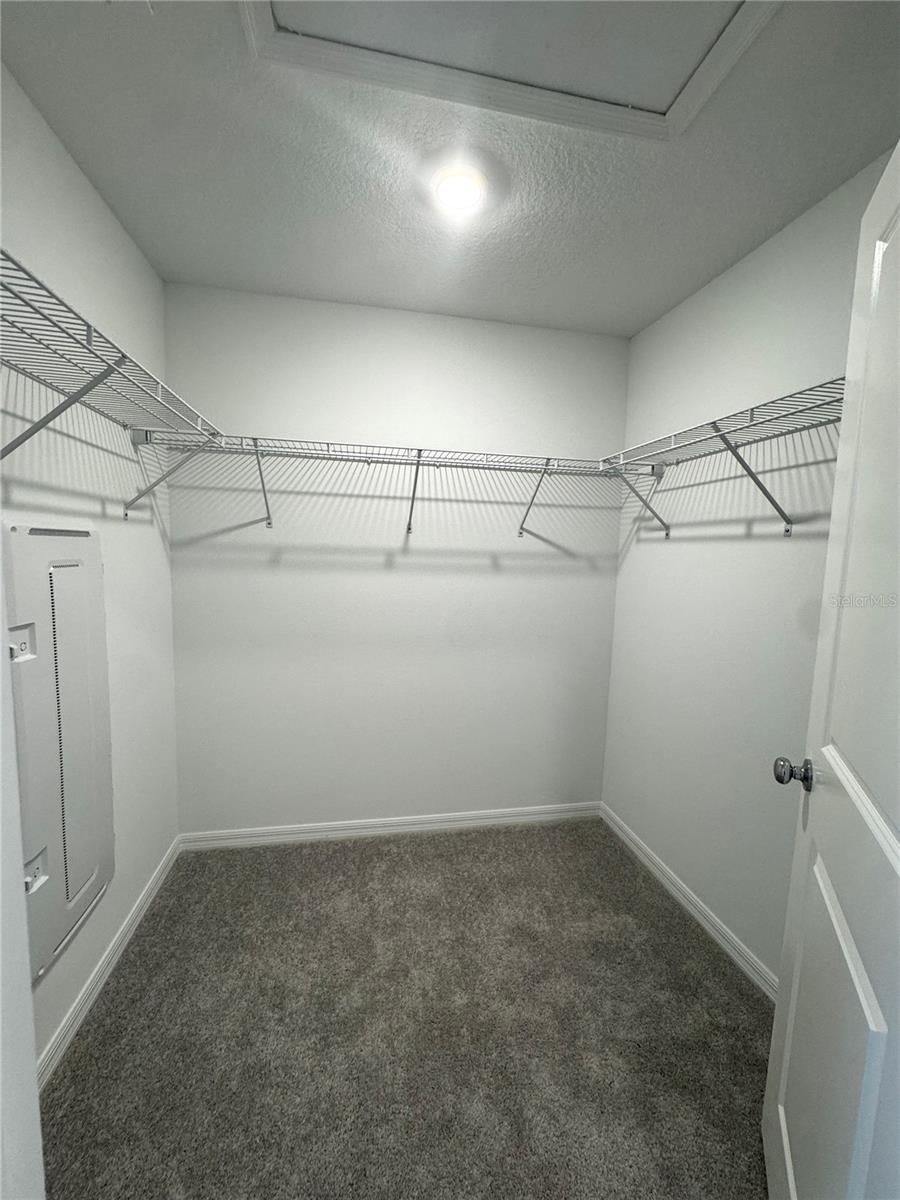 10149 TRUMPET HONEYSUCKLE WAY — photo 24