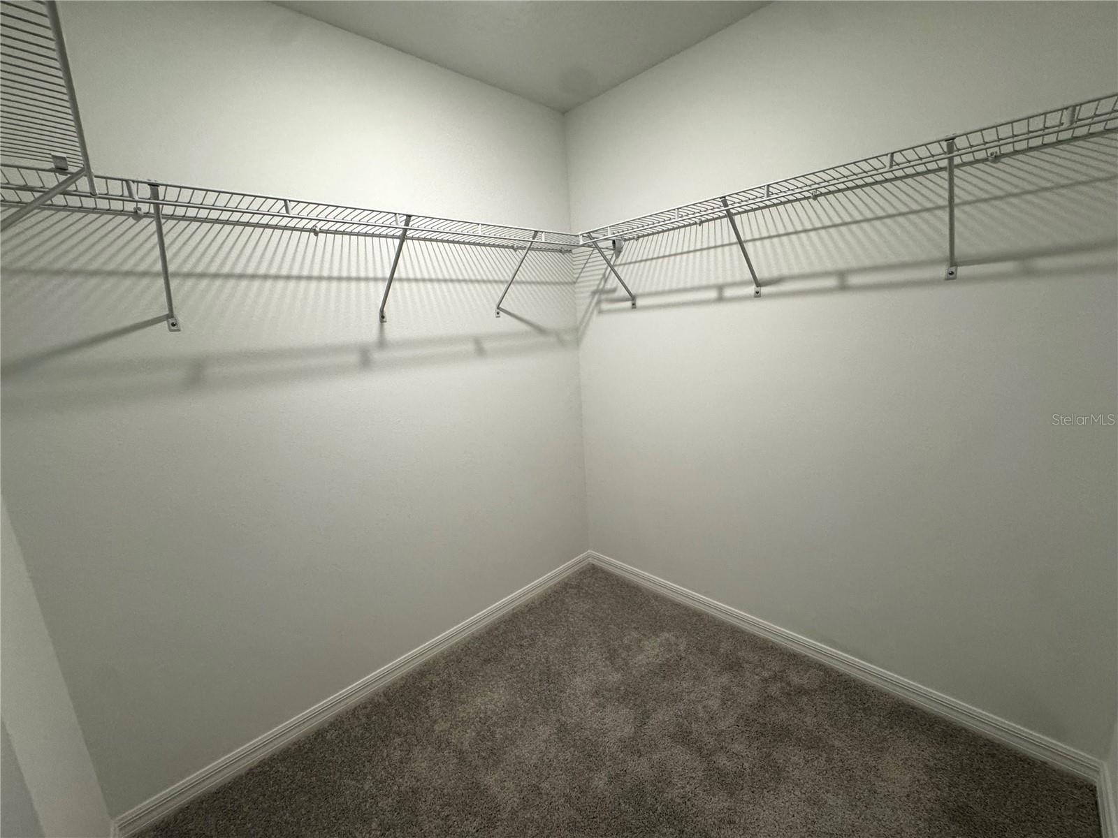 10149 TRUMPET HONEYSUCKLE WAY — photo 25