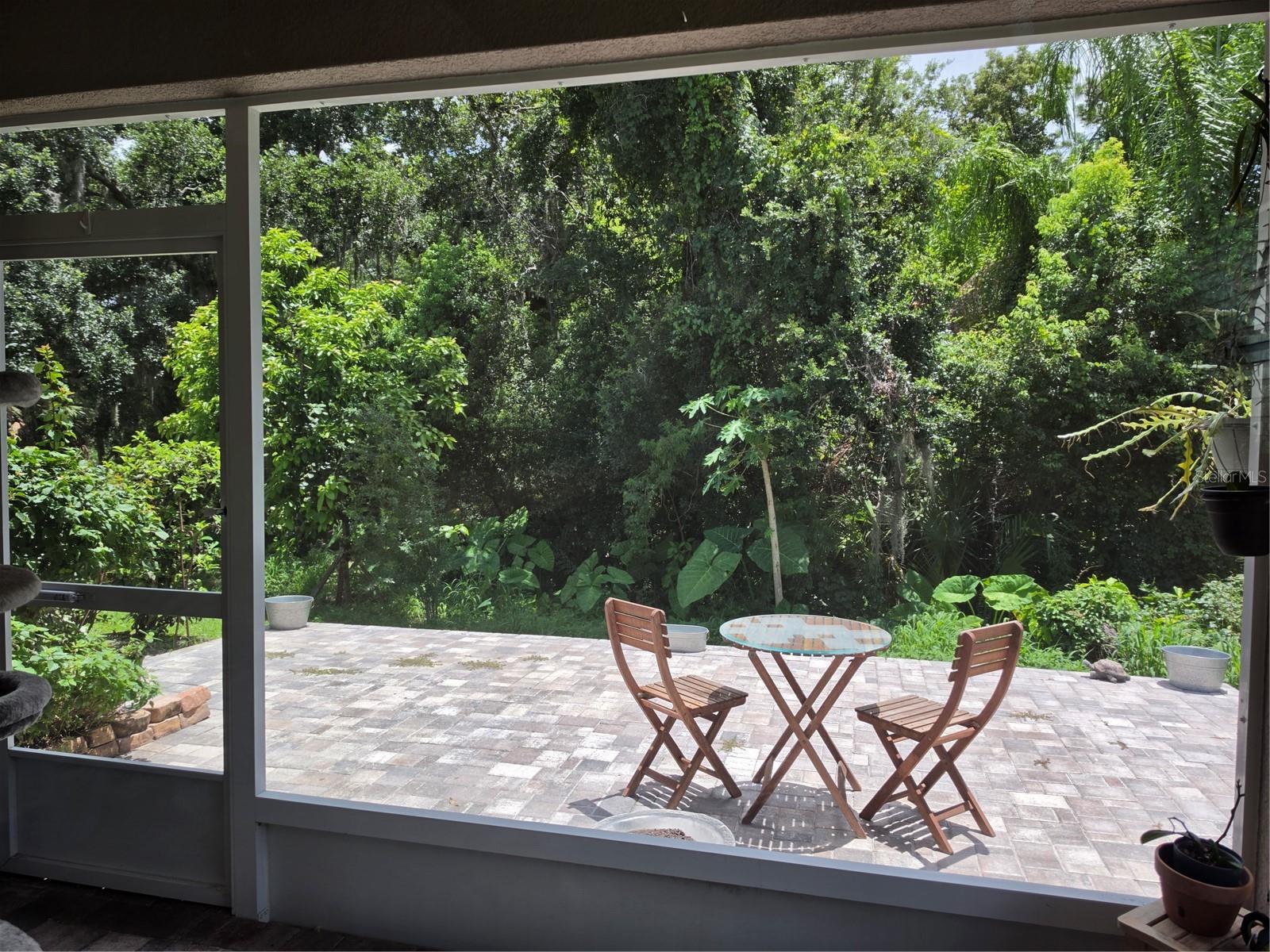 5330 RIVERWALK PRESERVE DR — photo 53