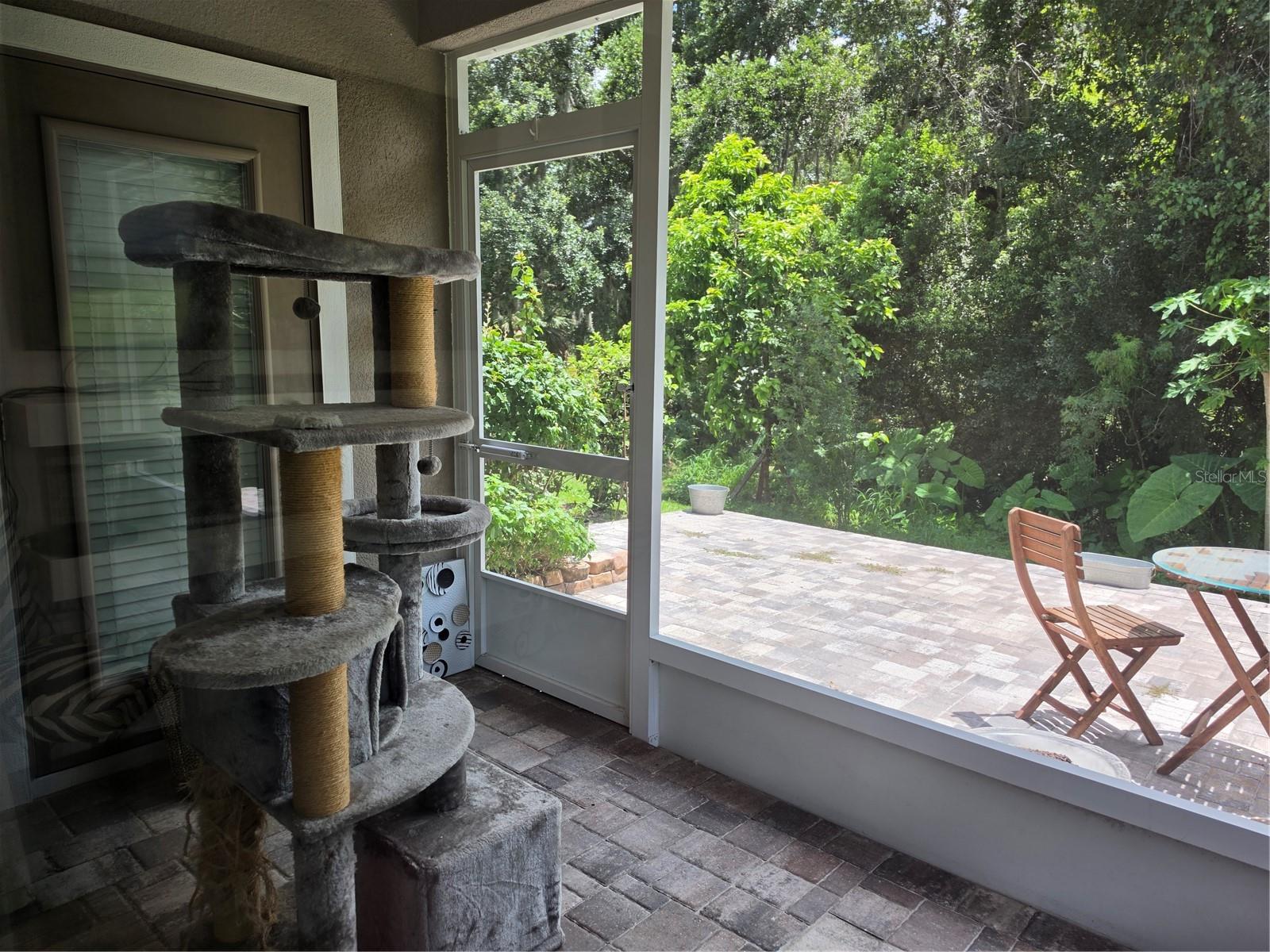5330 RIVERWALK PRESERVE DR — photo 55