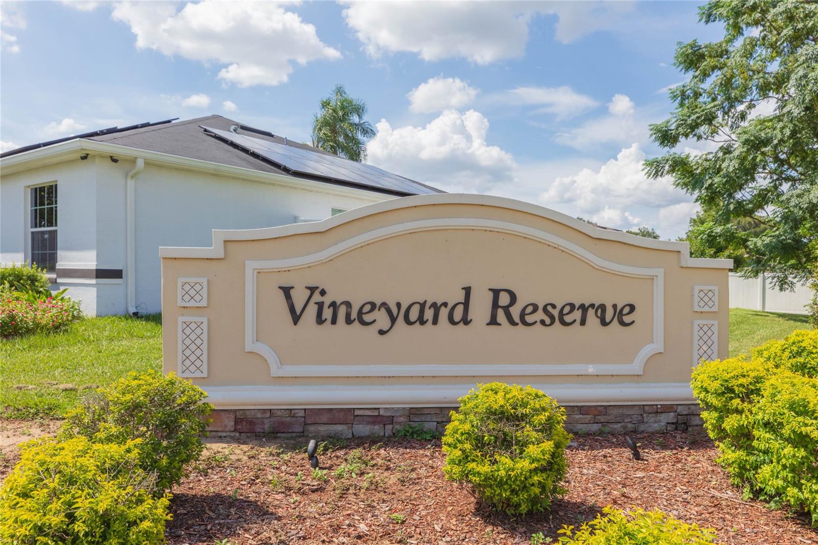 719 VINEYARD RESERVE CT — photo 37