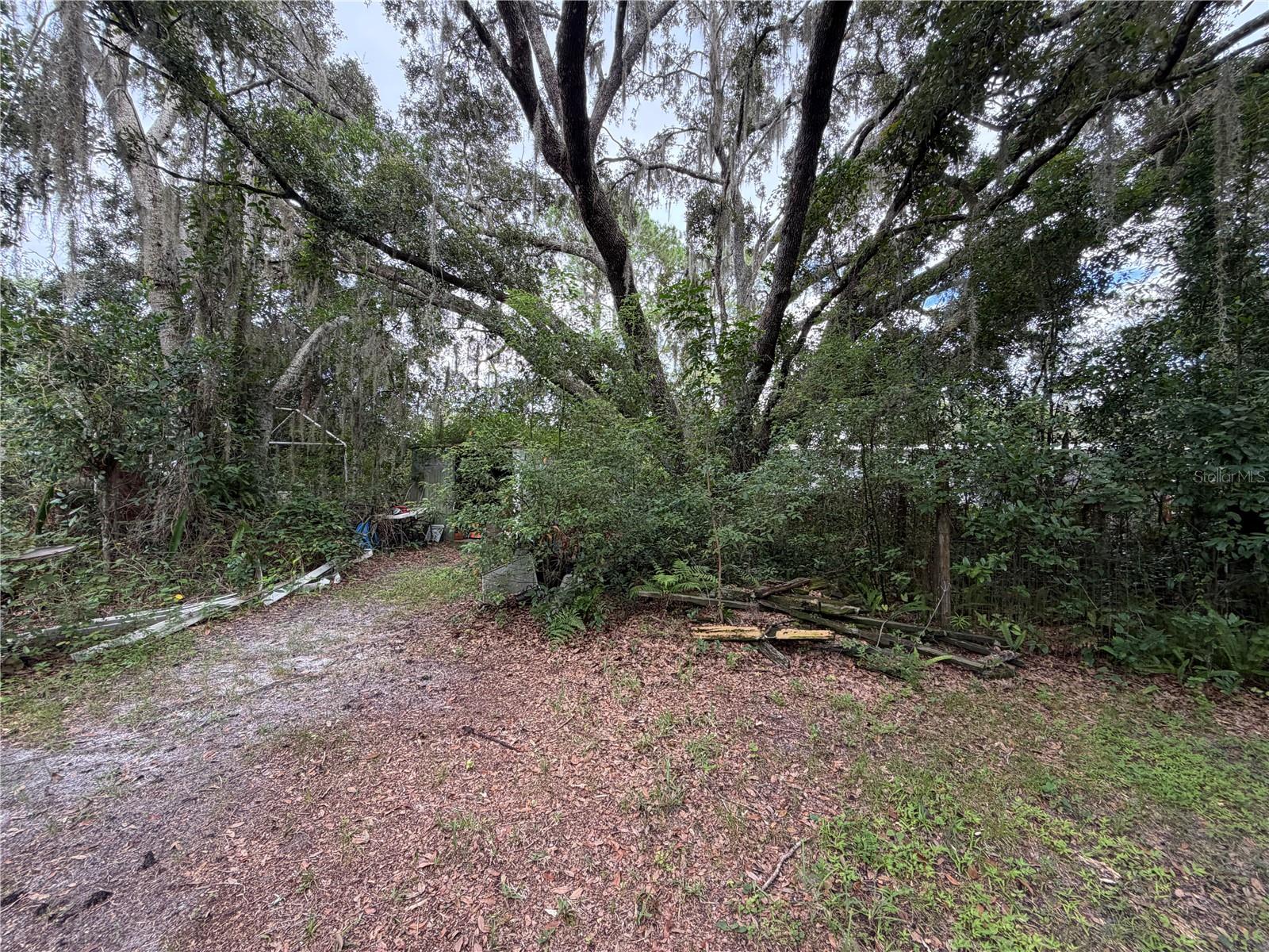 19201 DOVE RD — photo 13