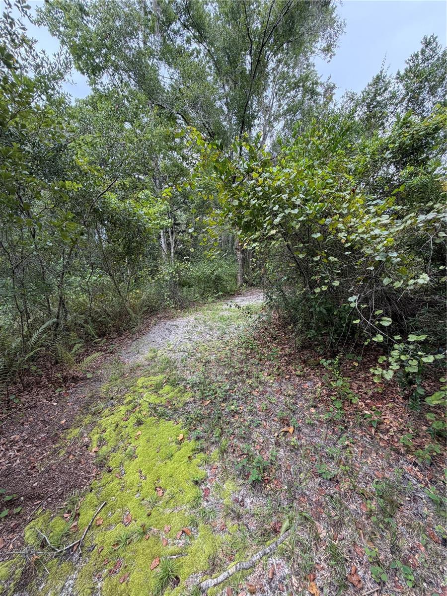 19201 DOVE RD — photo 4