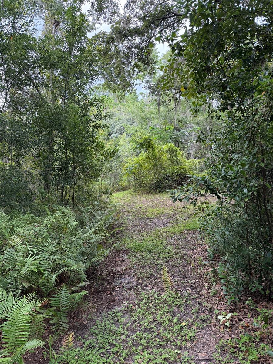 19201 DOVE RD — photo 7