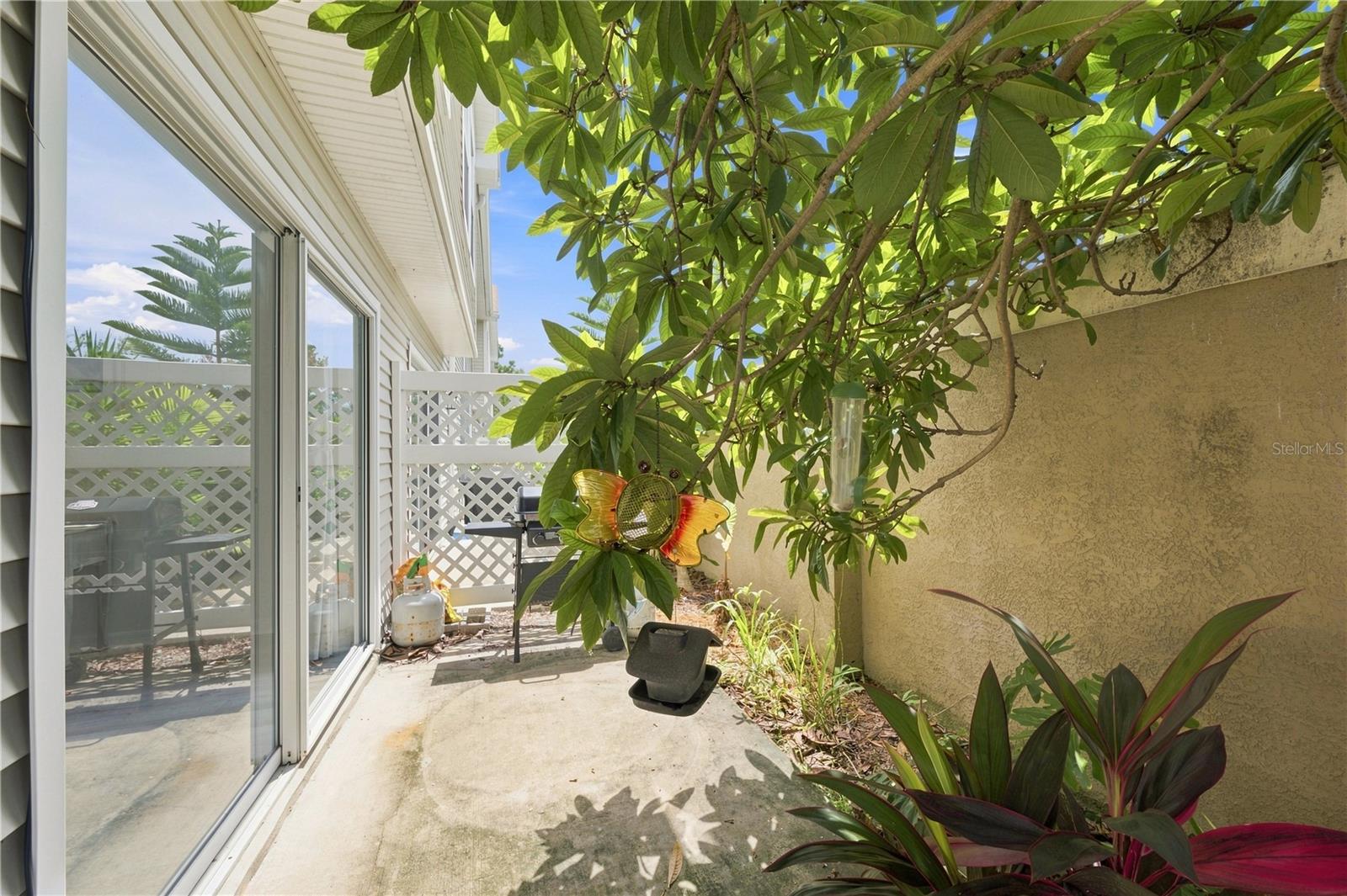 13158 THOROUGHBRED LOOP — photo 38