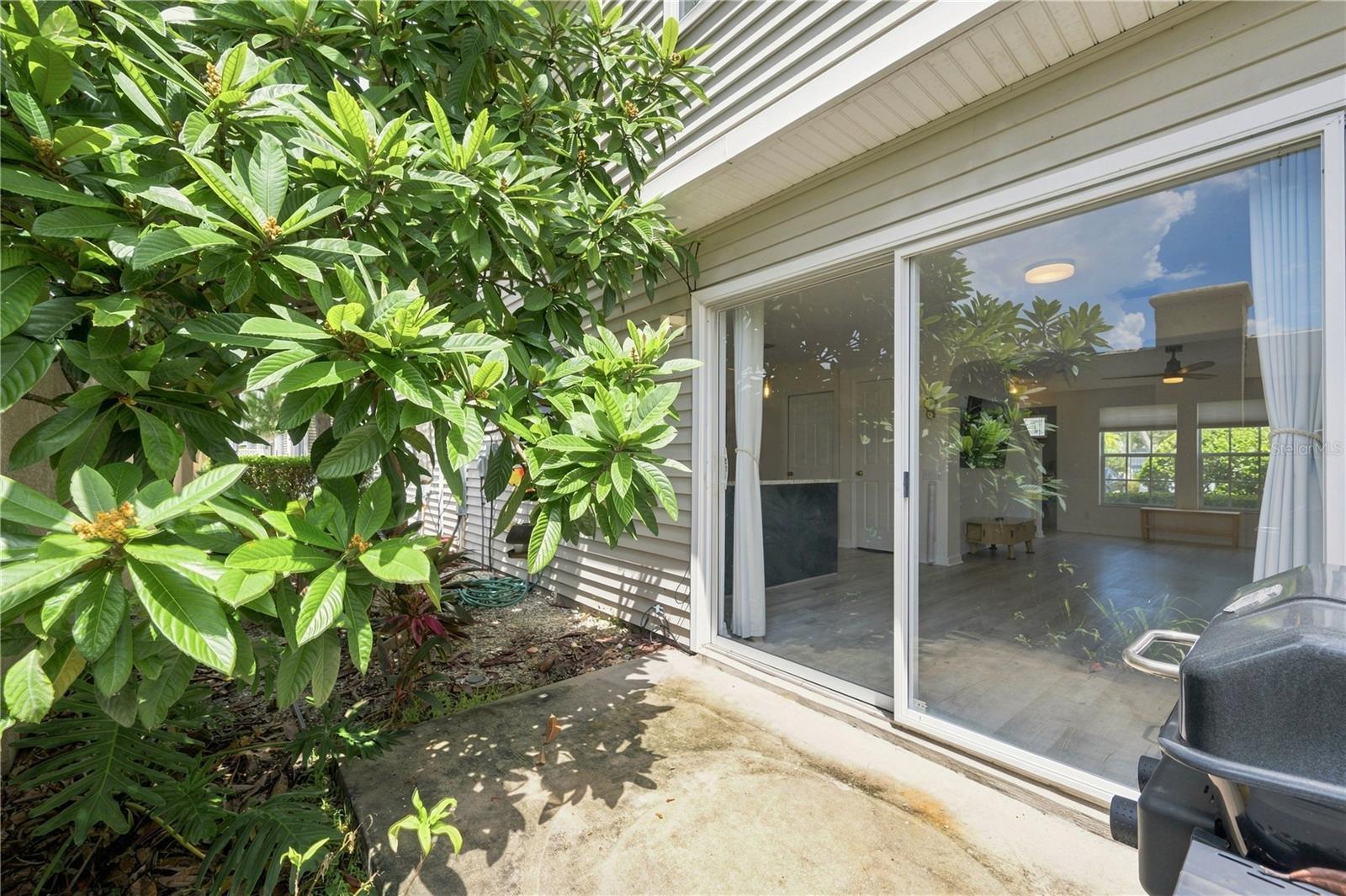 13158 THOROUGHBRED LOOP — photo 37