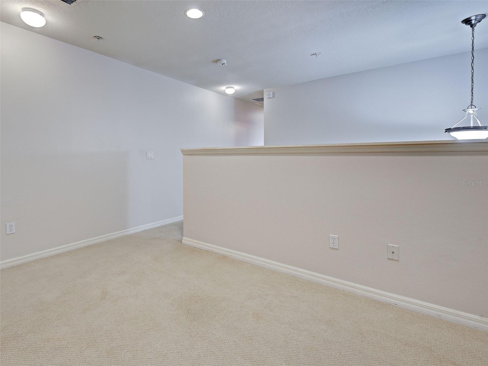 13050 TIGERS EYE DR — photo 24