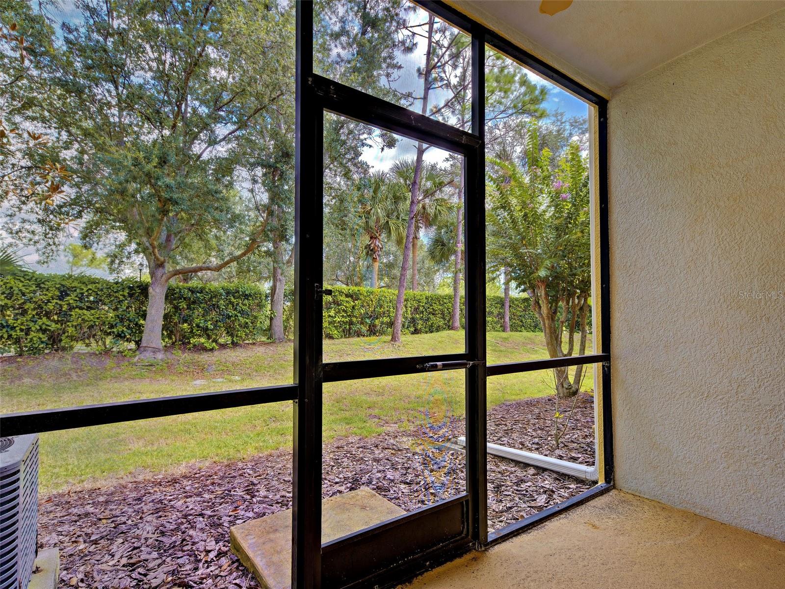 13050 TIGERS EYE DR — photo 21