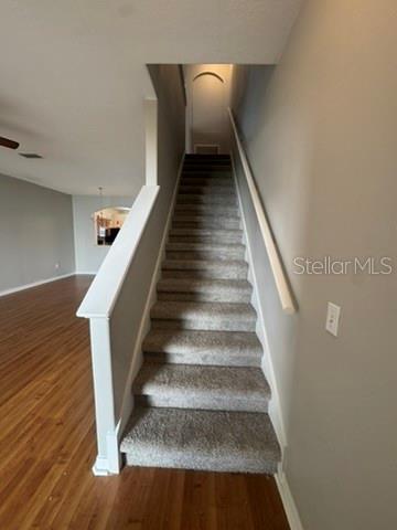 3404 HIGH HAMPTON CIR — photo 8