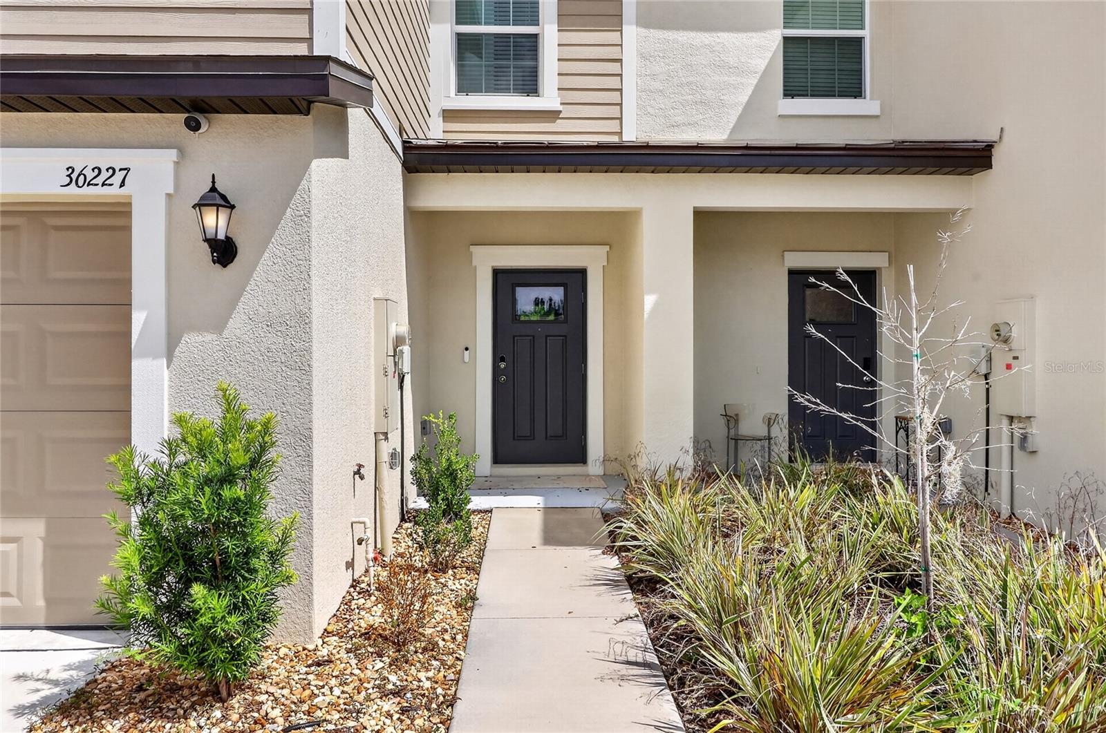 36227 JOSEPH BLAKE ST — photo 3