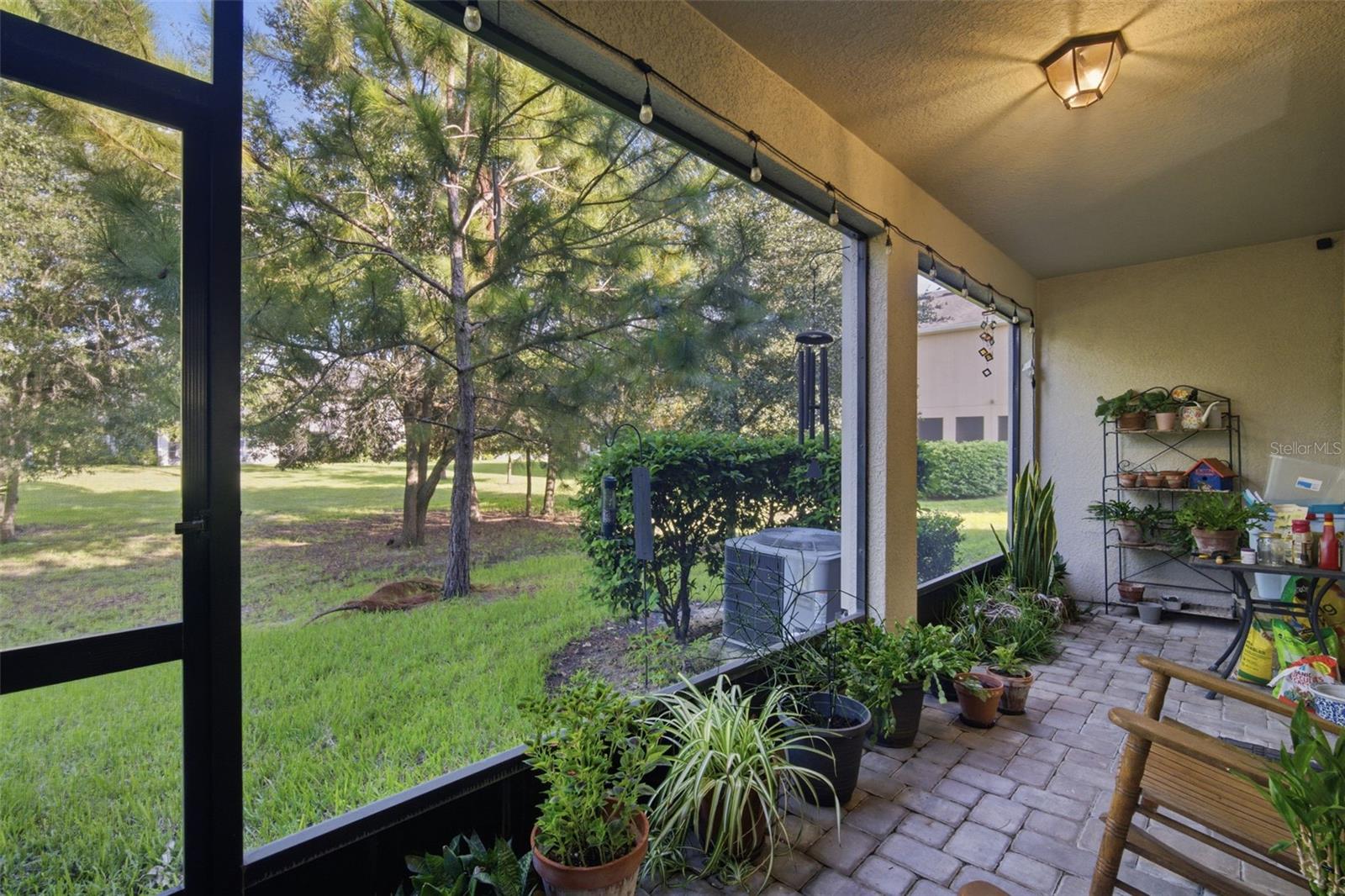 14215 PONDHAWK LN — photo 6