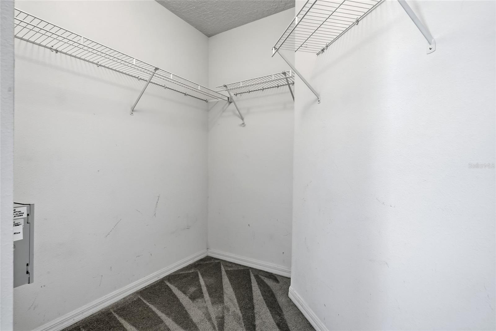 25928 CRIPPEN DR — photo 21