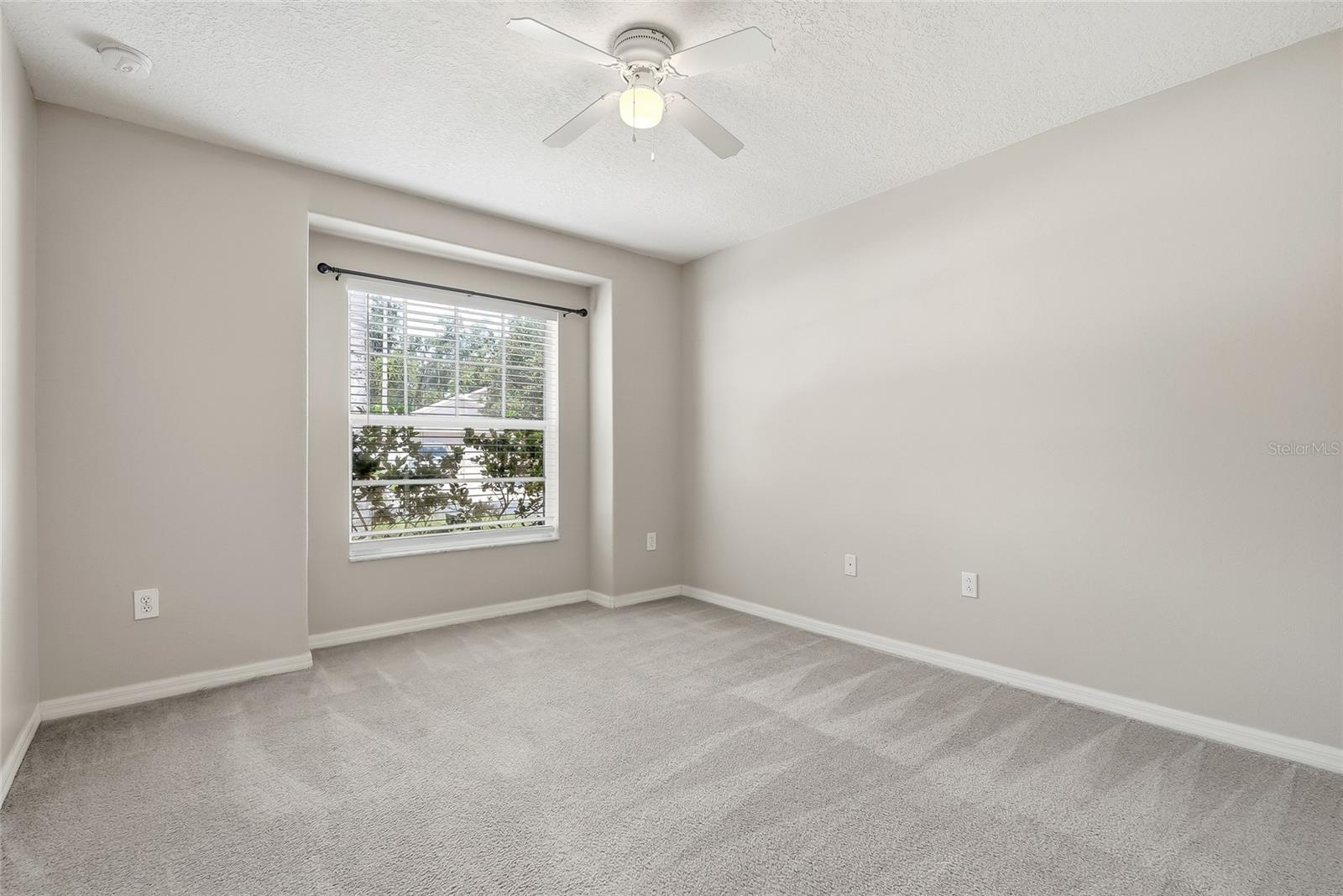 25928 CRIPPEN DR — photo 22