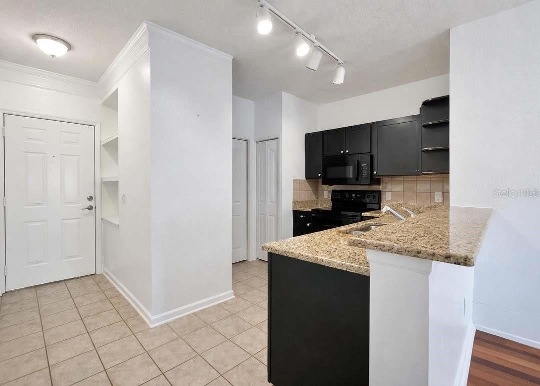 4207 S DALE MABRY HWY #6410 — photo 9