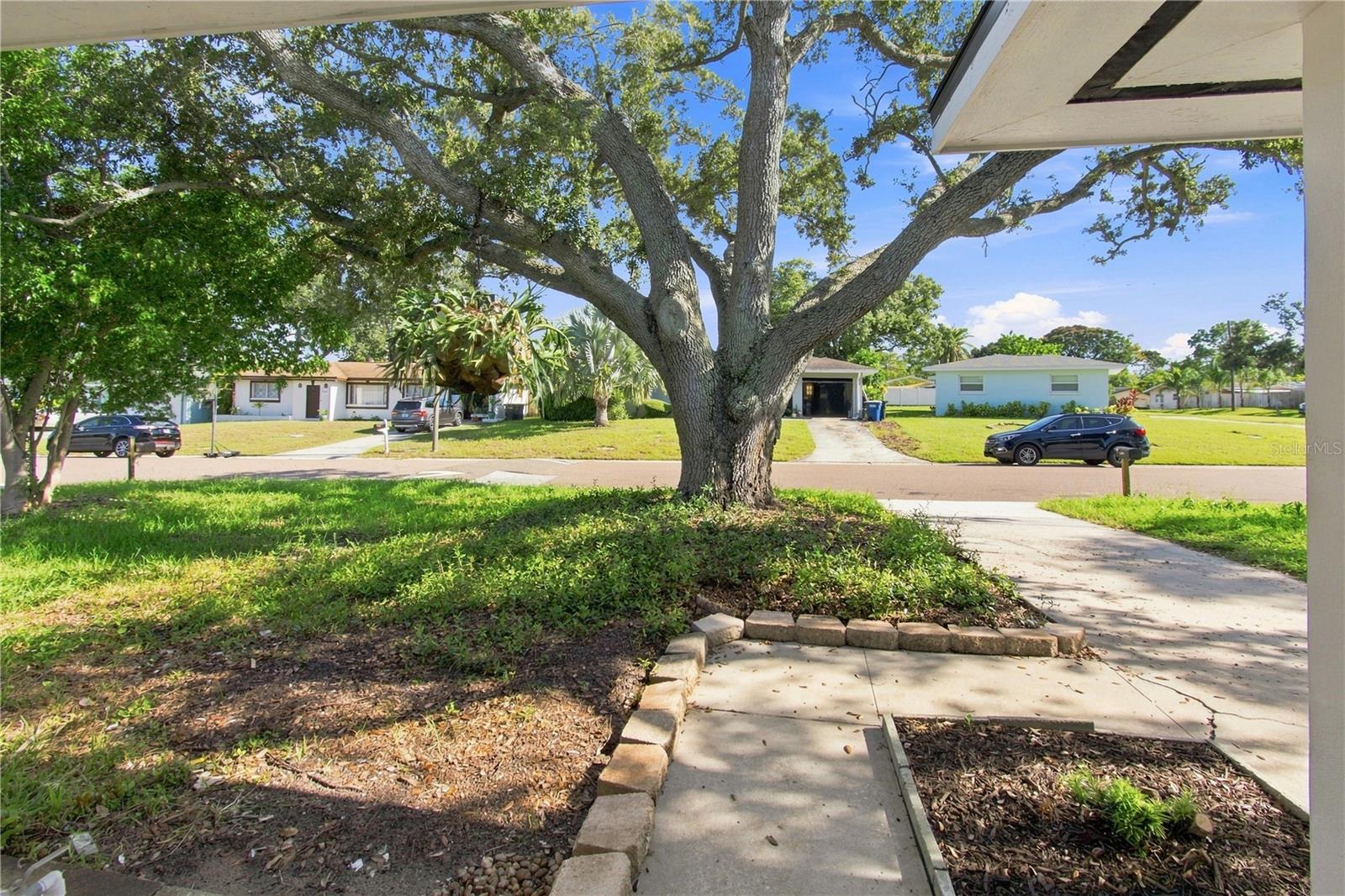 1250 MAGNOLIA DR — photo 24