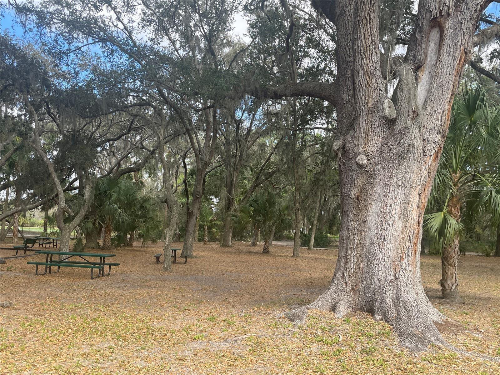 18102 TURTLE BEACH WAY — photo 23