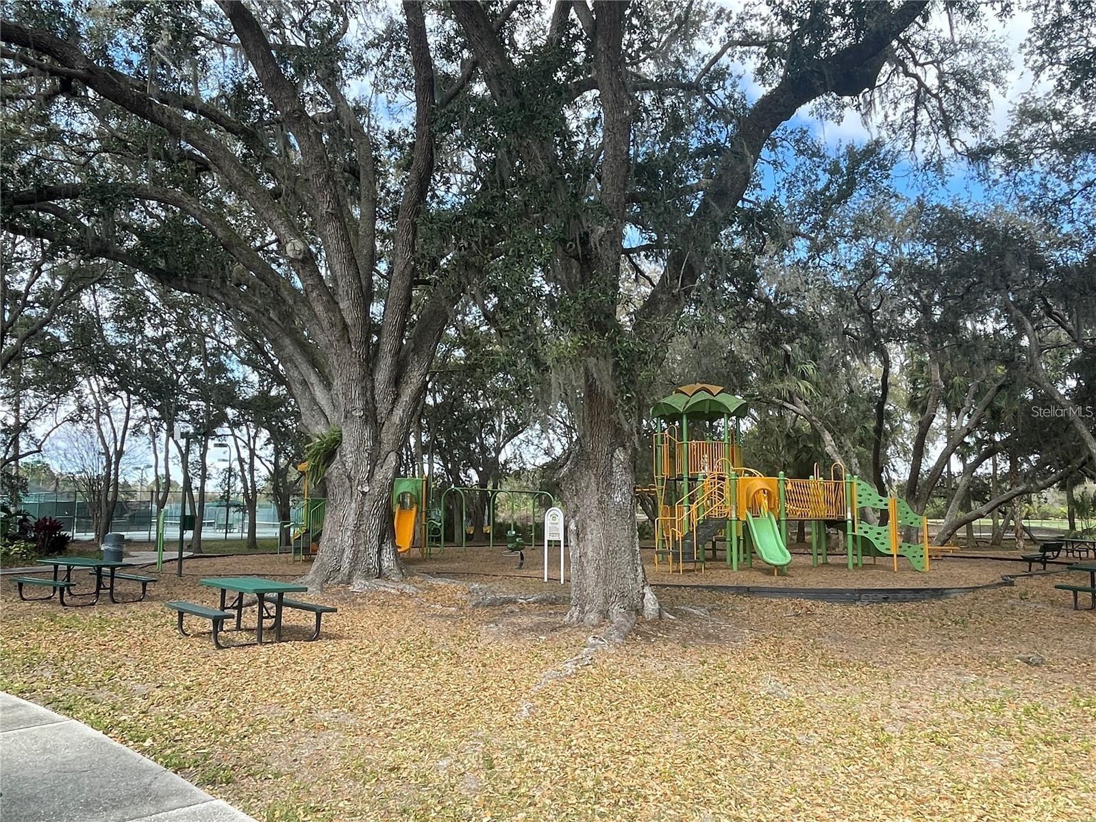 18102 TURTLE BEACH WAY — photo 24