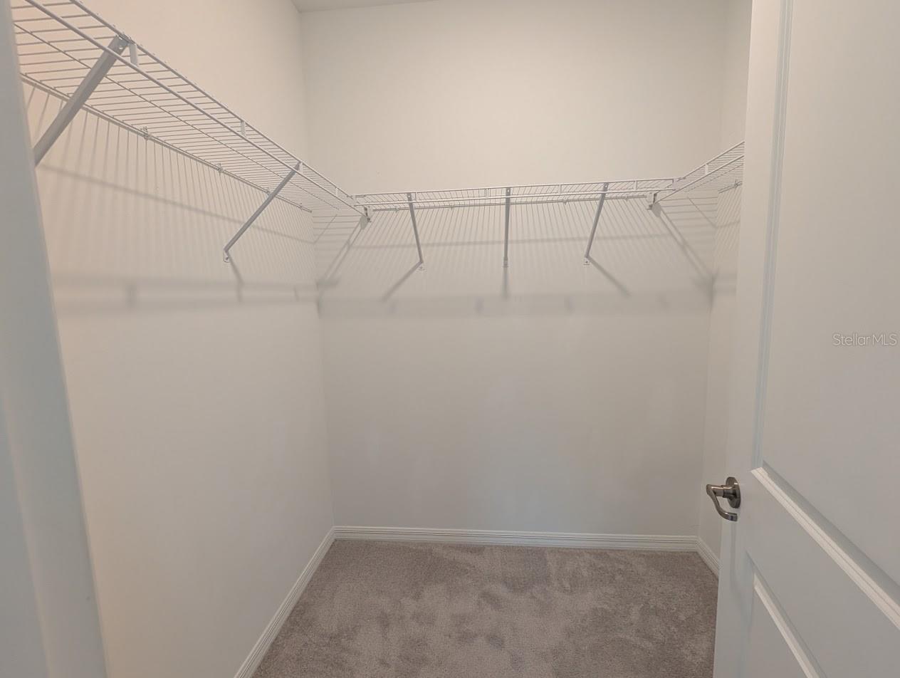 11100 BALFOUR ST — photo 30