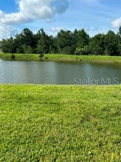 17973 DAIRY FARM CT — photo 31