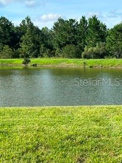 17973 DAIRY FARM CT — photo 2