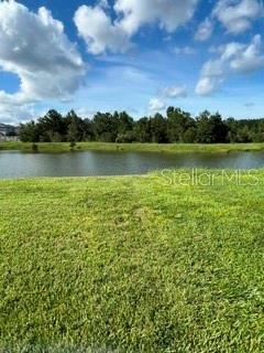 17973 DAIRY FARM CT — photo 6
