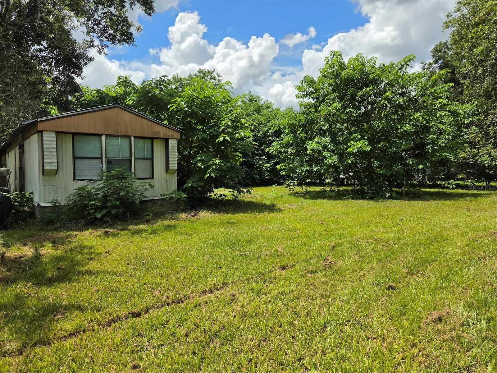 33349 ARTHUR DR — photo 5