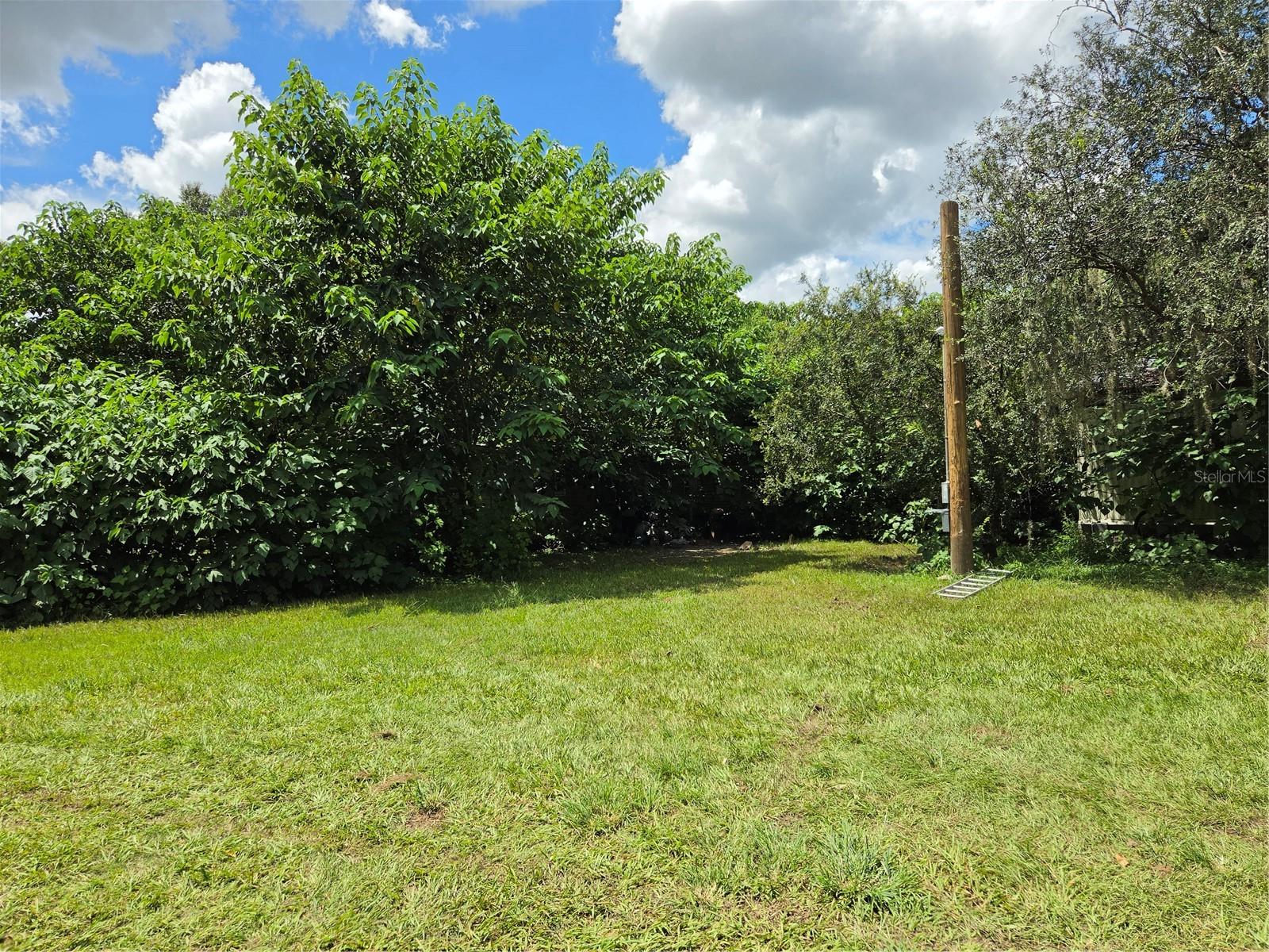 33349 ARTHUR DR — photo 6