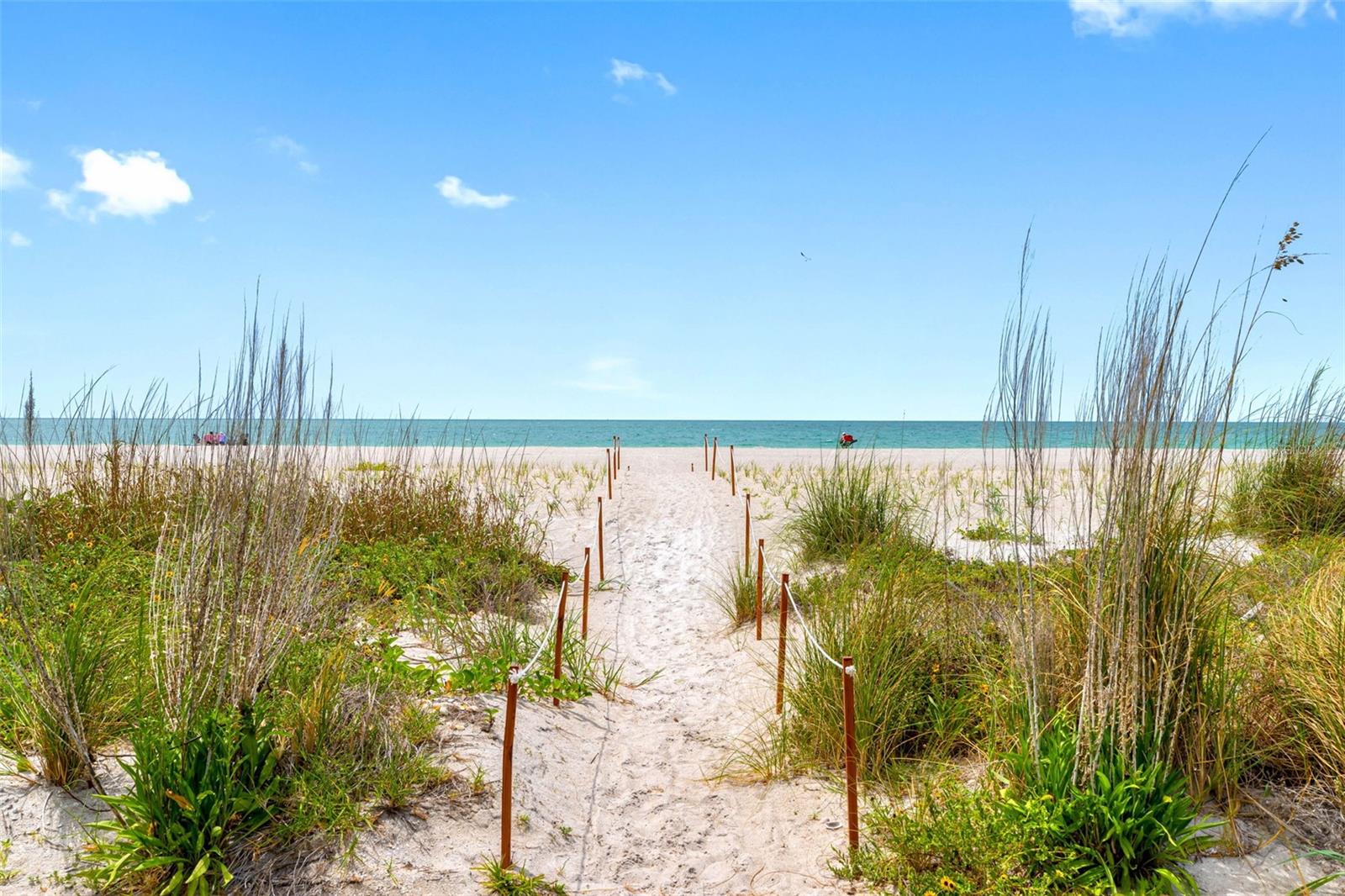 1480 GULF BLVD #1011 — photo 40