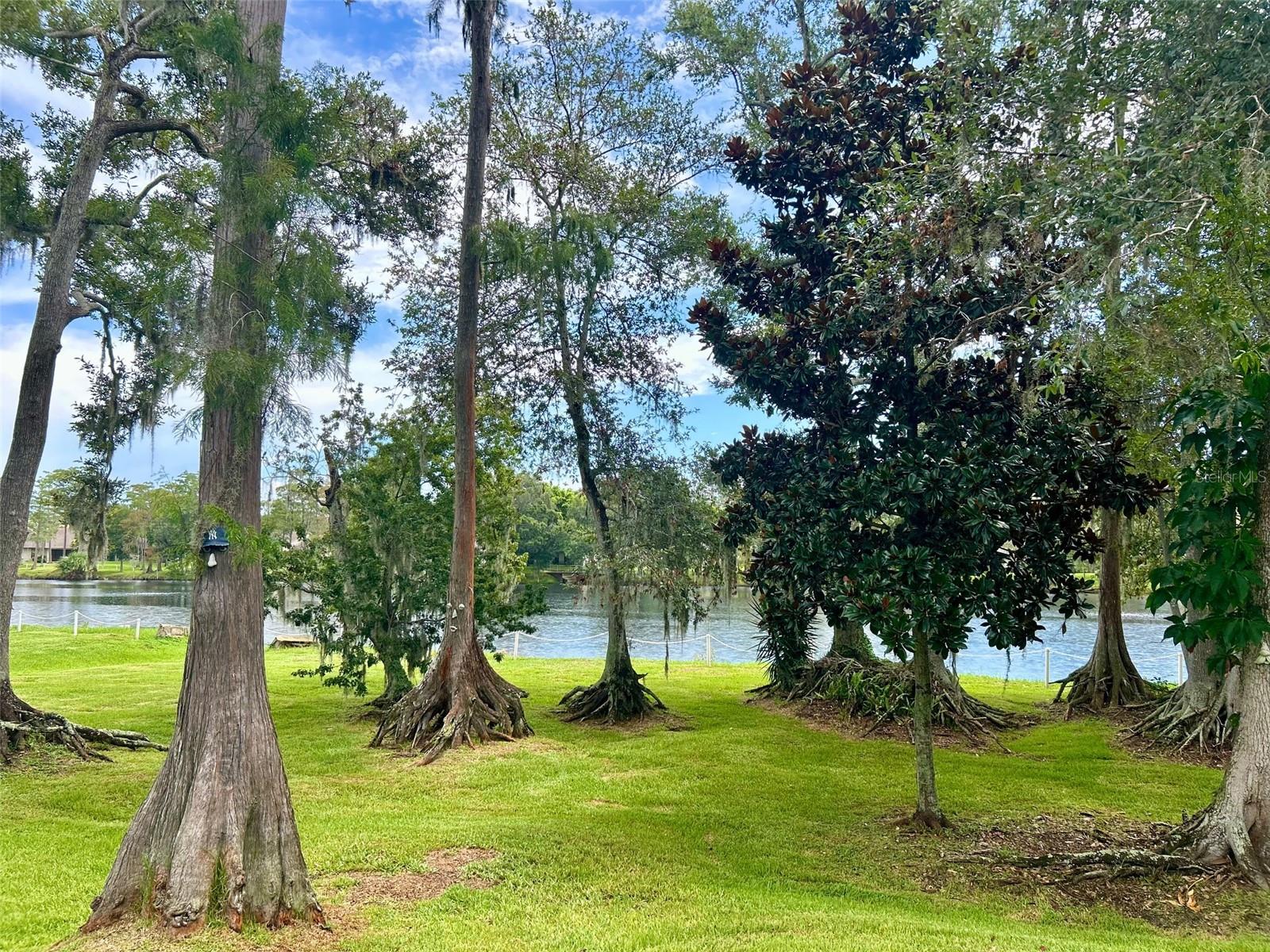 2529 OAKLEAF LN #30C — photo 15
