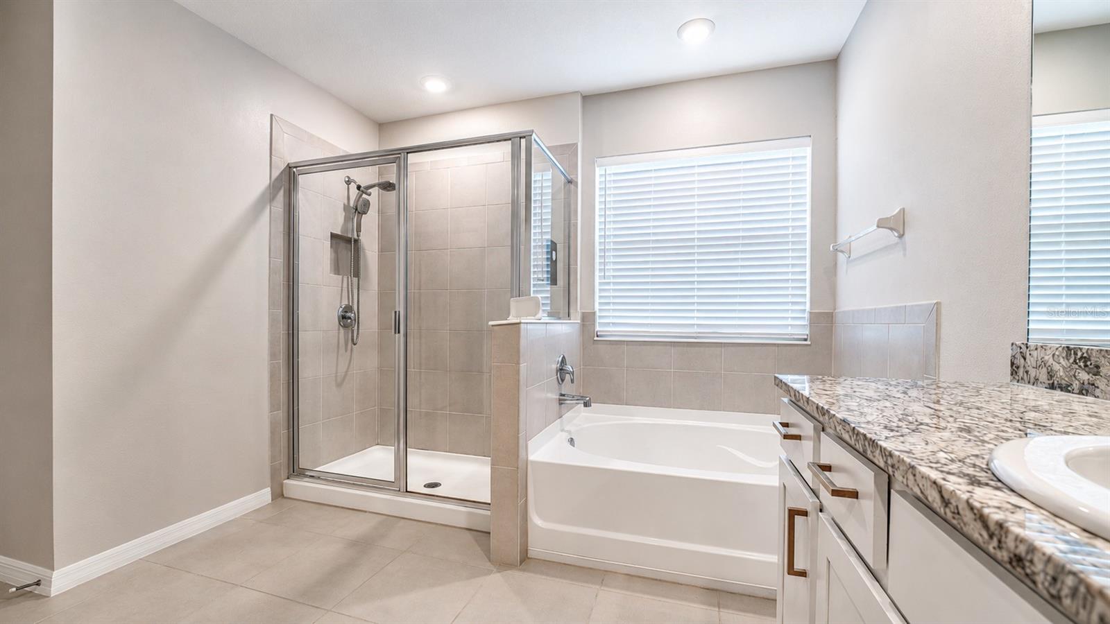 12455 SHINING WILLOW ST — photo 35