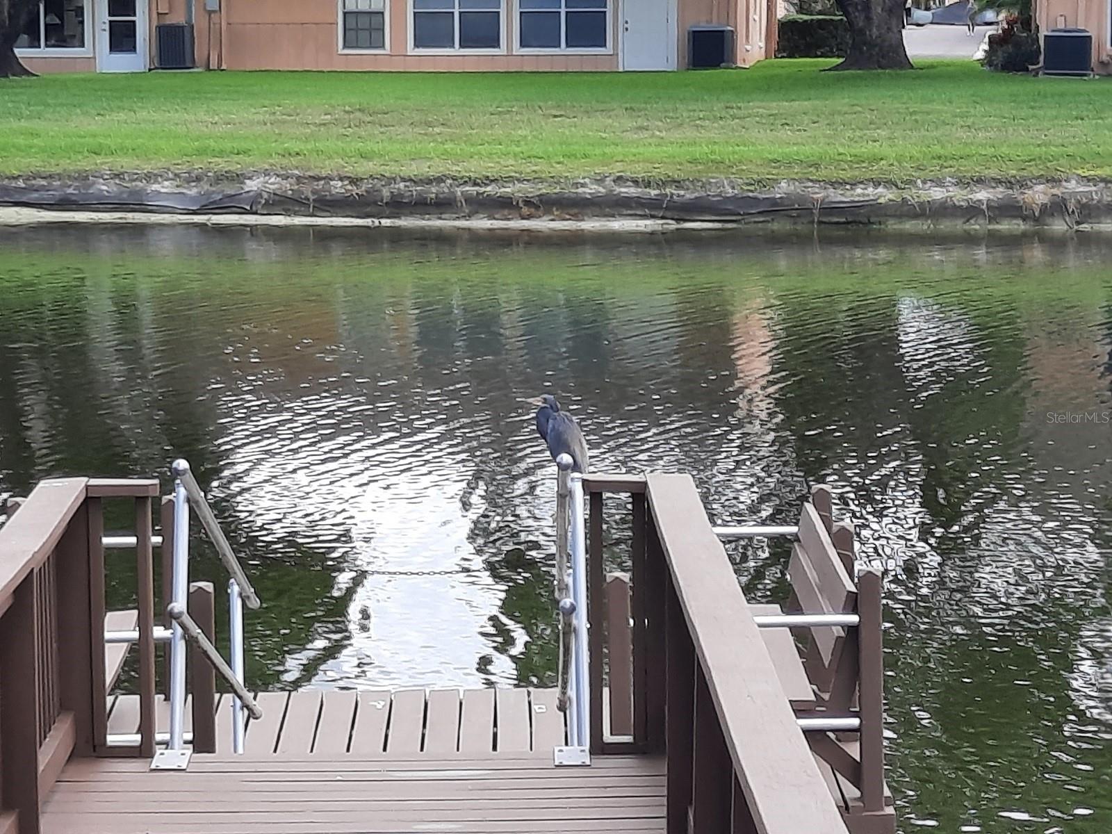 9014 SEVERN LN #8 — photo 52