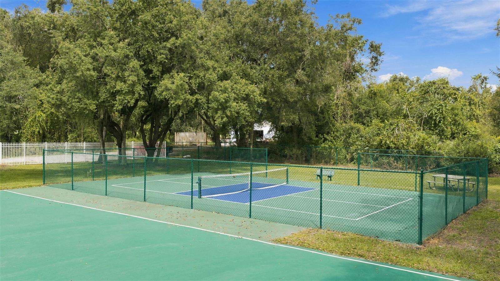 35136 DEERFIELD OAKS DR — photo 49