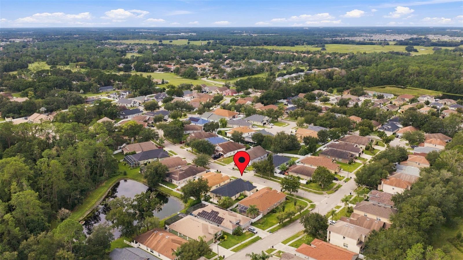 35136 DEERFIELD OAKS DR — photo 40