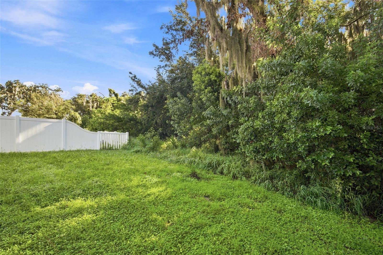 10920 CARLTON FIELDS DR — photo 37